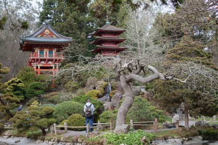 Japanse thee tuin in Golden Gate Park